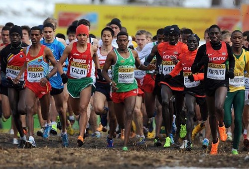 16 عداء يمثلون المغرب في بطولة إفريقيا لاختراق الضاحية