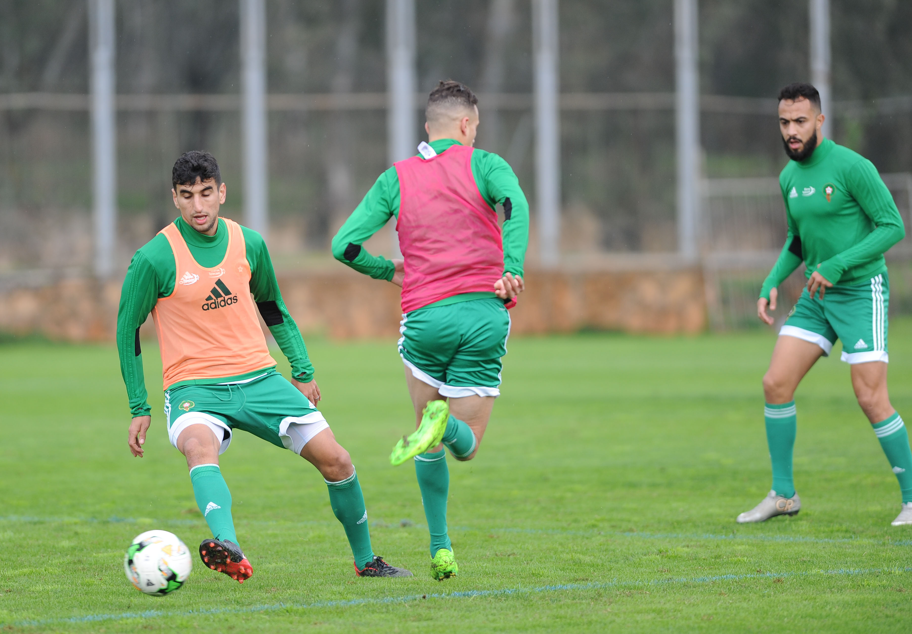 حصة تدريبية خفيفة لمنتخب المحليين