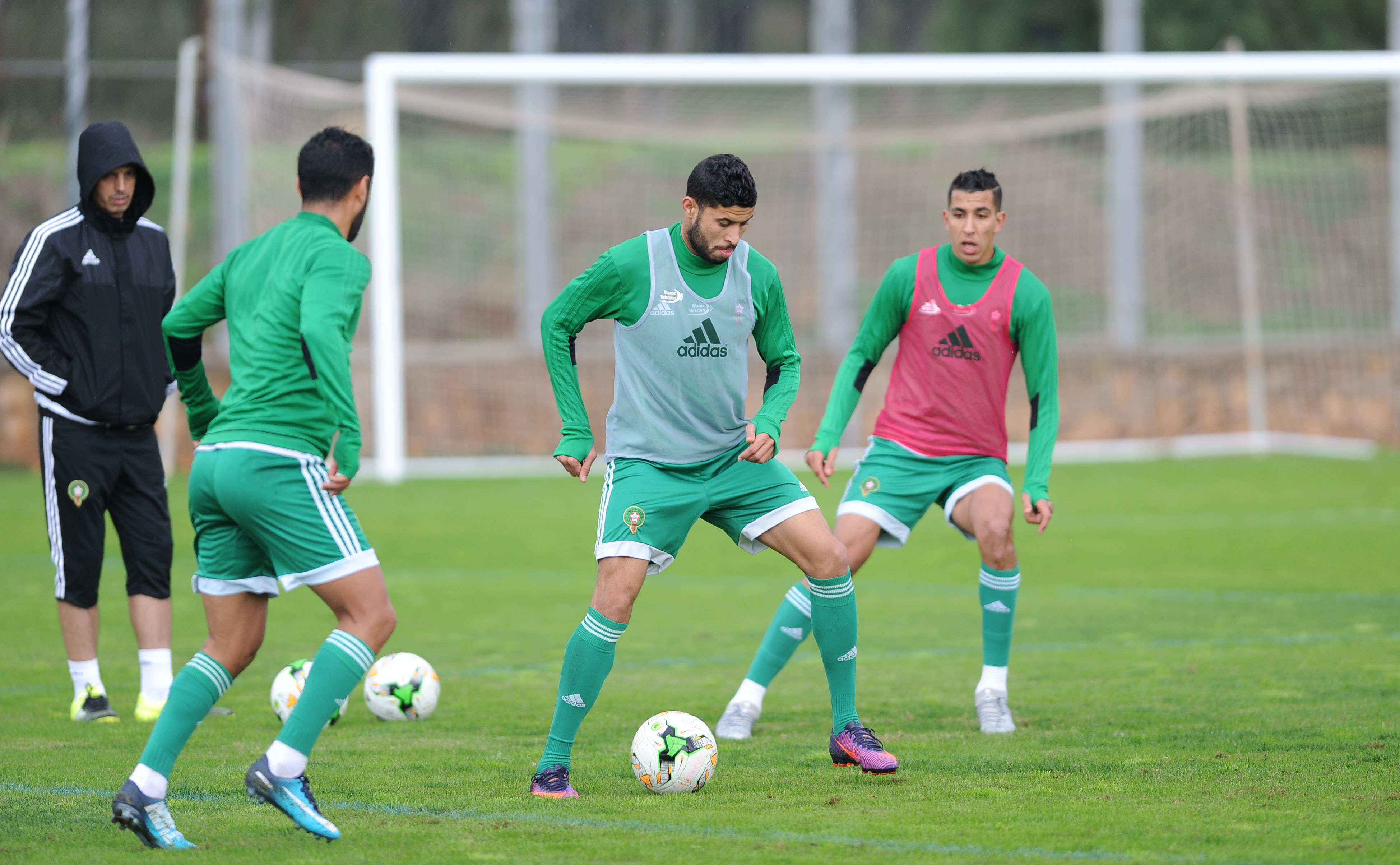 حصة تدريبية خفيفة لمنتخب المحليين